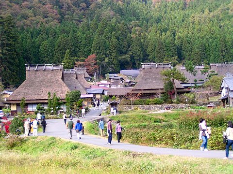 ����Ԃ��̗�