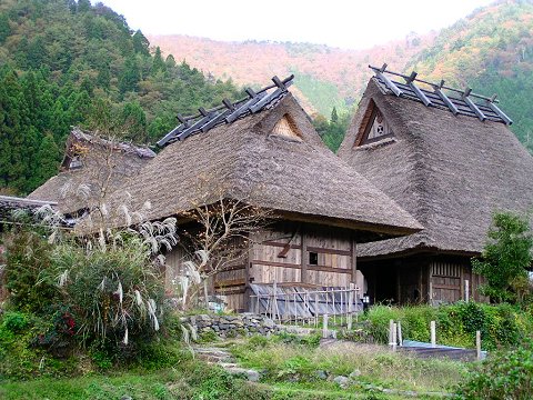 ����Ԃ��̗�