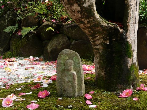 ���|���̌ܐF��