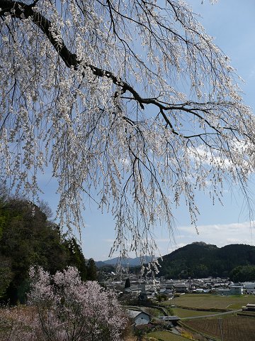 �V�v���̍�