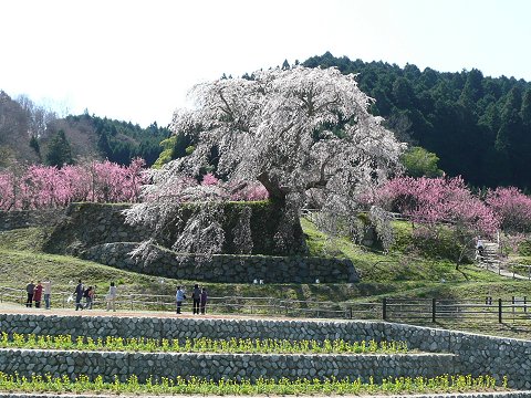 �����q��