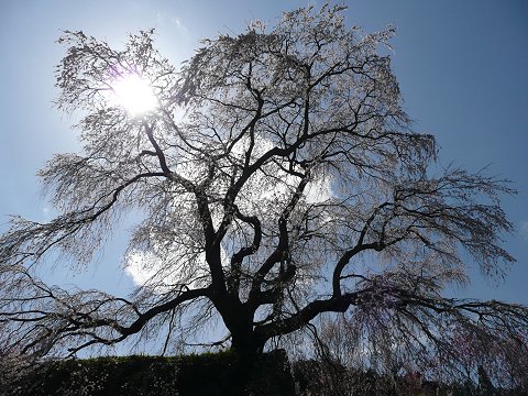 �����q��