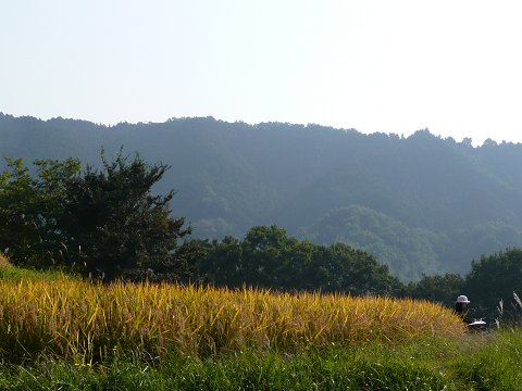 �������@��