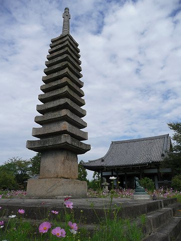 �ʎ᎛�@�\�O�d�Γ�