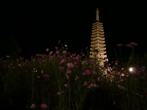 �ʎ᎛�@�Γ��̃��C�g�A�b�v