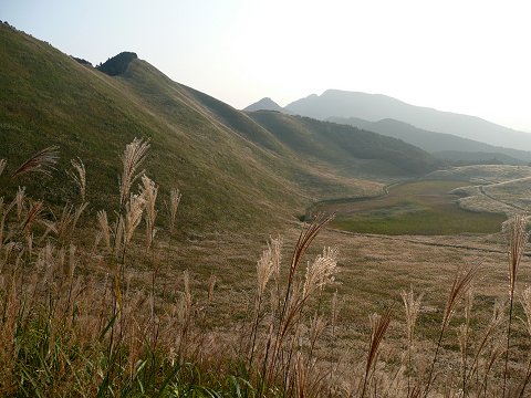 �]�������@���T�r