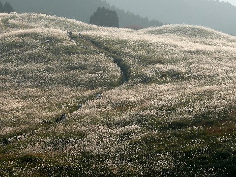 �]�������@������