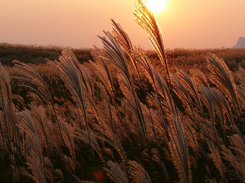 �]�������@������