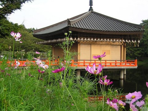 ���{����@