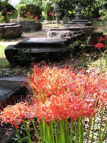 �{��t����