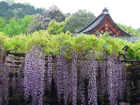 ������̓�