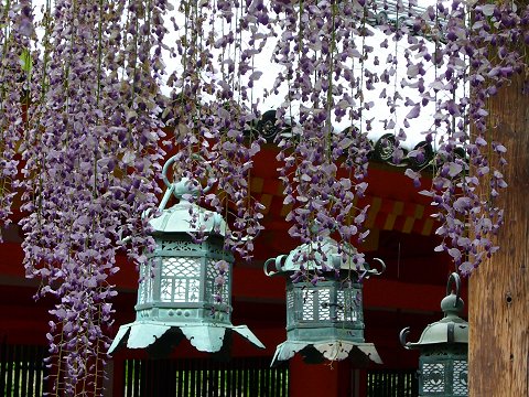 ������̓�