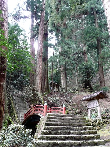 �������@���̉@��