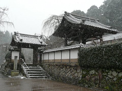 ��쎛�@�R��