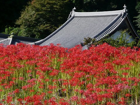 ��i���E�G