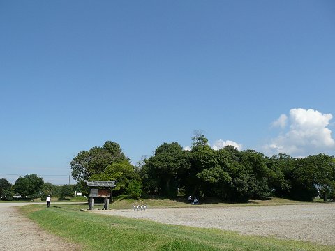 ��������ɓa��