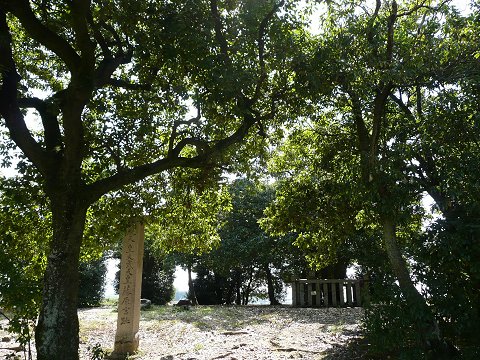 ��������ɓa��