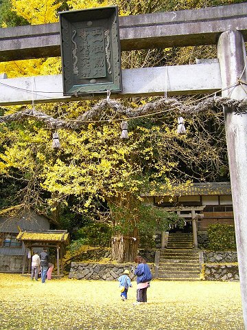 �O���_��