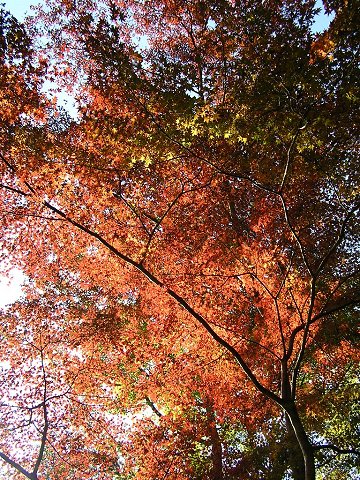 ����̍g�t