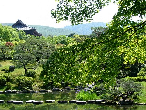 �ː����@�㉀