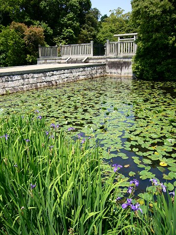 �֔V�Q����