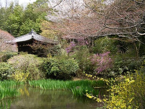 �s�ގ��̒뉀