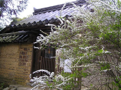 �C�������̐��