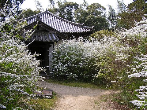 �C������