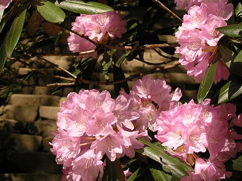 �������Γ��