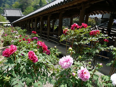 ���J���@���O��