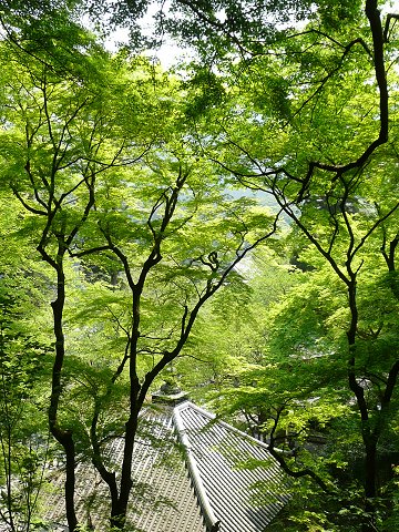 ���J���@�V��