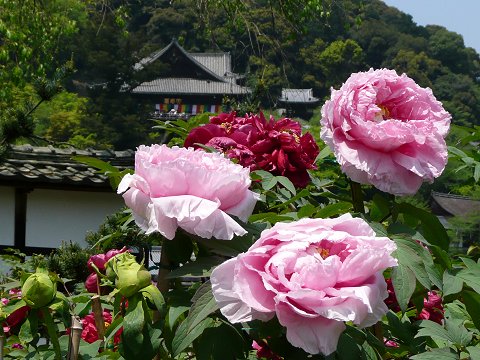 ���J���@���O