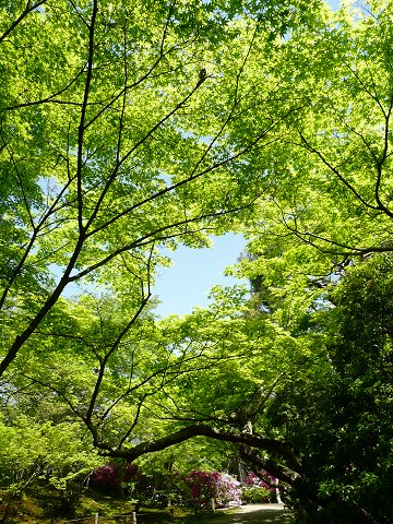 �ː����@�V��