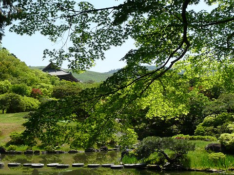 �ː����@�㉀