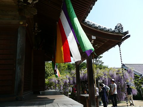 �q���n�����@�{��