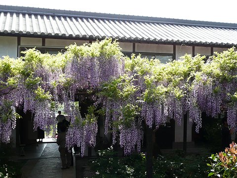 �q���n�����@��