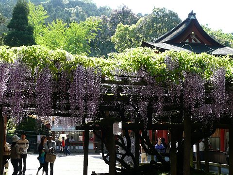 �t����Ё@������̓�