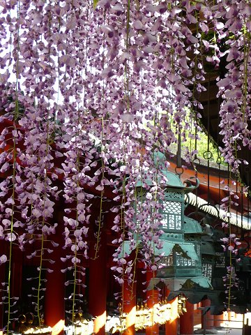 �t����Ё@������̓�