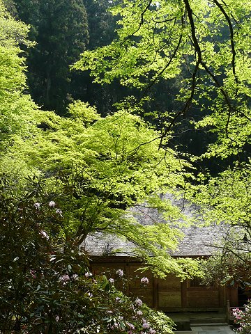 �������@����