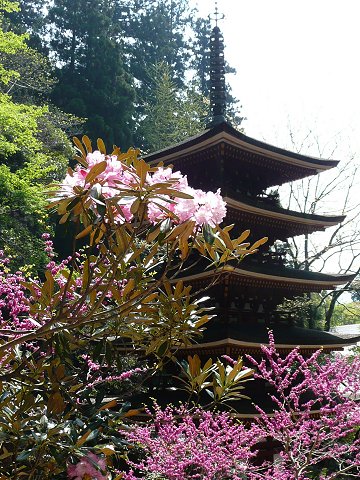 �������@�܏d��