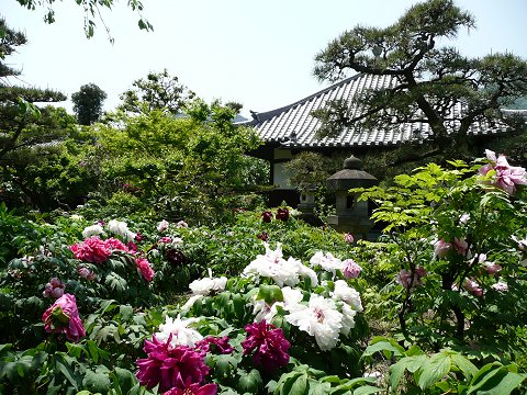 �Ό����@���O