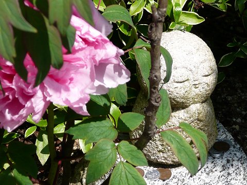 �D�h���@���n������