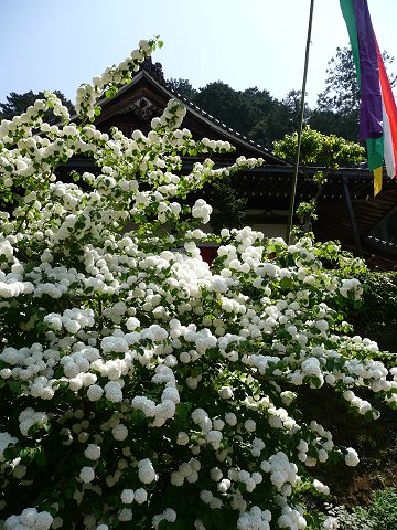 �D�h���@���f