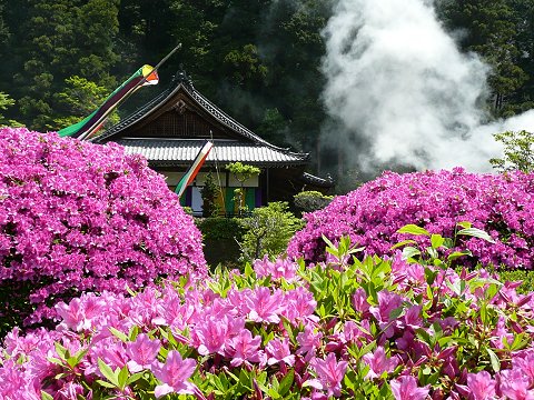 �D�h���@�c�c�W