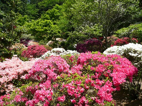 �D�h���@�뉀