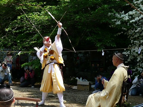 �D�h���@�ԍՂ�