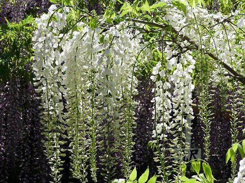 �t����А_���@��