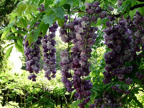 �t����А_���@��