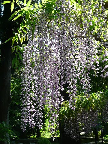 �t����А_���@��