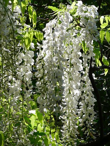 �t����А_���@��